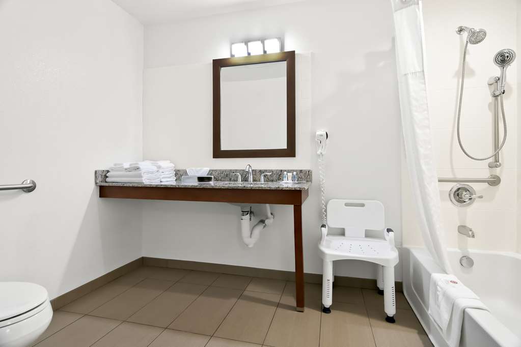 Comfort Suites Rensselaer near Fair Oaks - photo 15