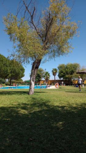 El Laurel Y El Limonero. — hotel in Guillena