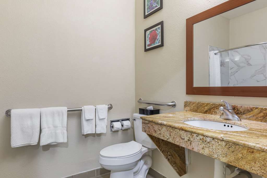 Comfort Inn & Suites Temple Medical Center - photo 14