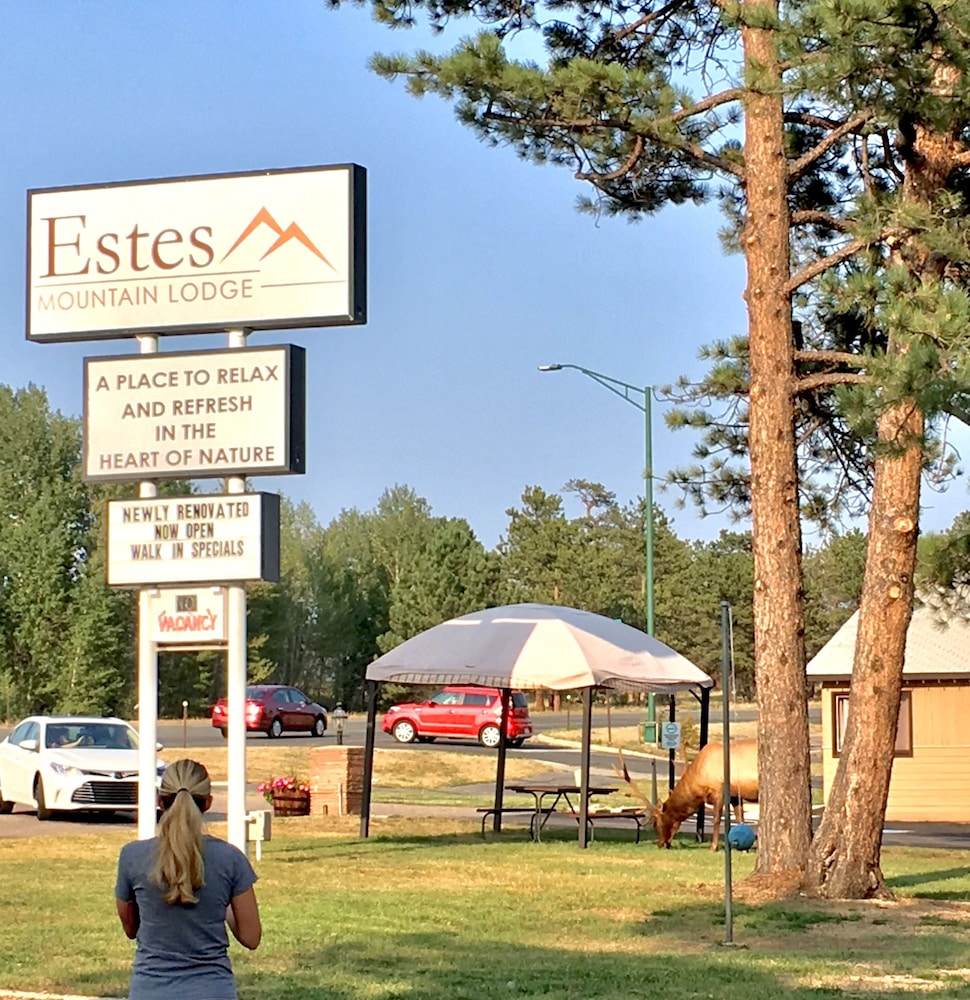 Estes Mountain Inn - photo 103