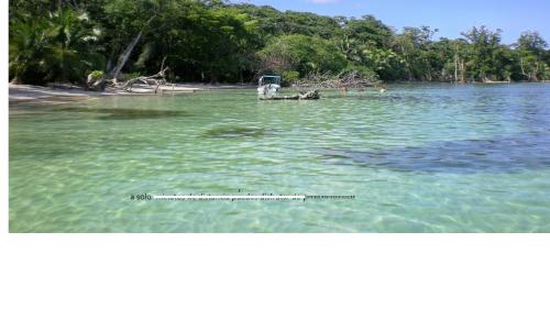Yellow Houses Bocas — Bocas Del Toro — photo 2