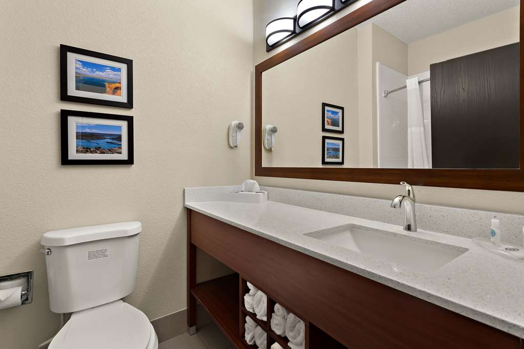 Comfort Suites University Las Cruces - photo 17