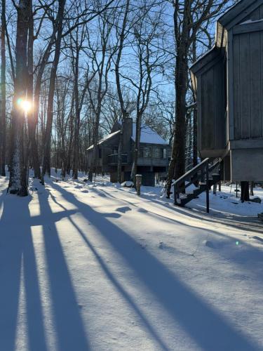Eagle Village Resort - photo 2