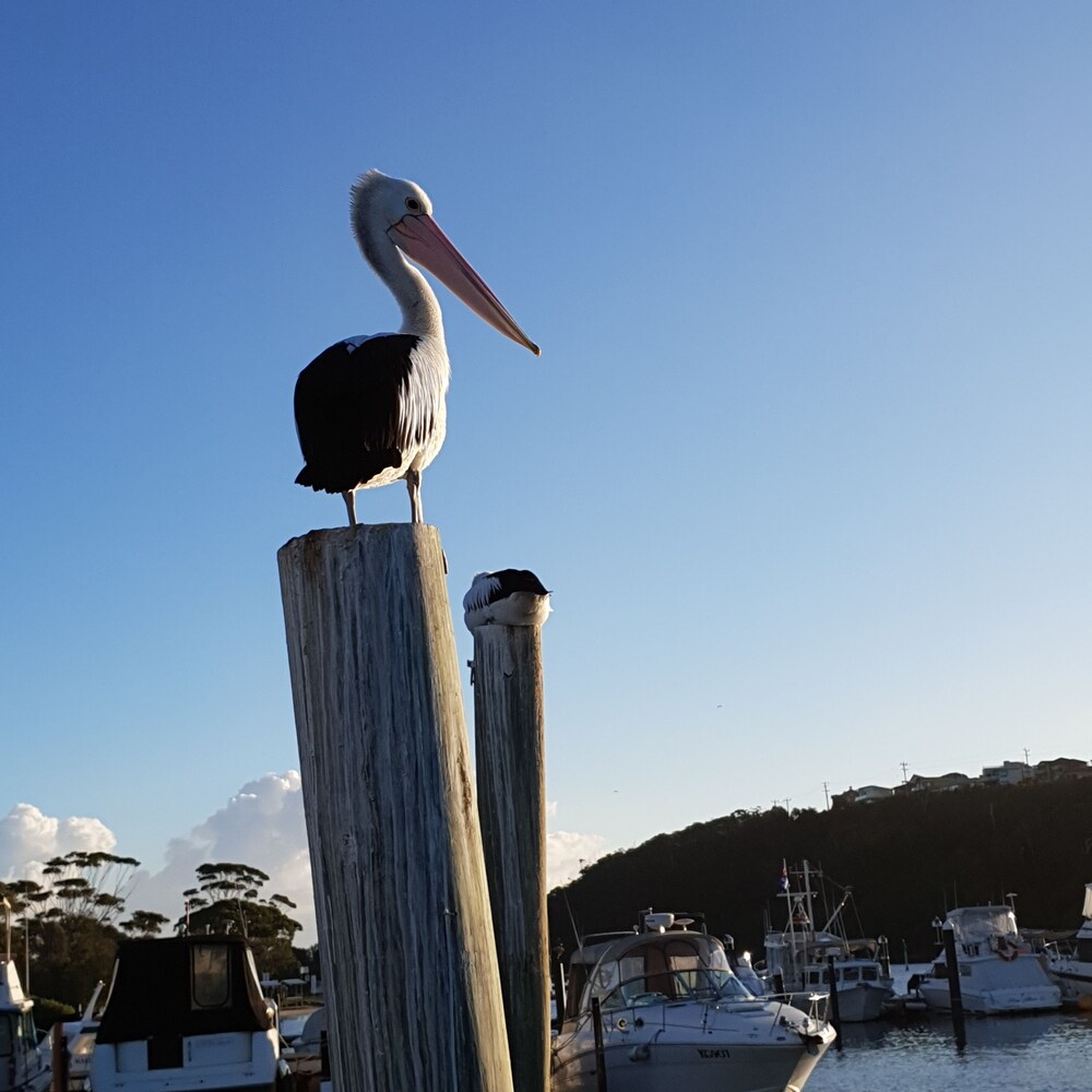 Bamboo Motor Inn — hotel in Lakes Entrance