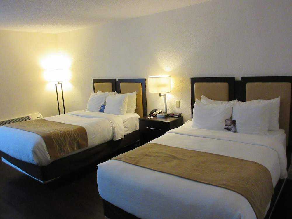 Comfort Inn Oceanside Deerfield Beach - photo 17