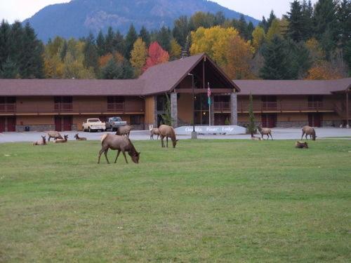 Cowlitz River Lodge - photo 3