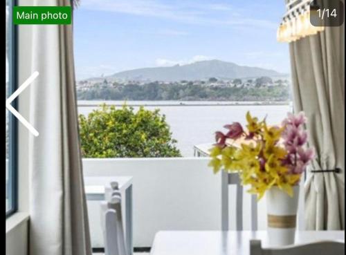 Tauranga Harbour View in Tauranga, New Zealand