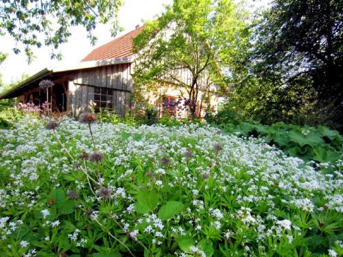Ferienhaus Apfelhof — Unknown City — photo 5