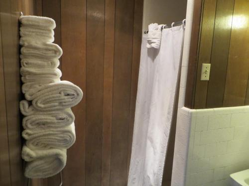 Alamo Inn - photo 29