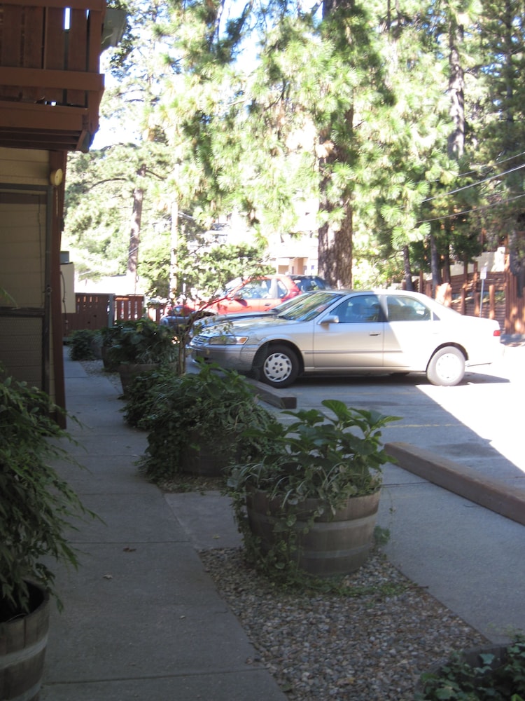 The North Shore Inn - photo 108