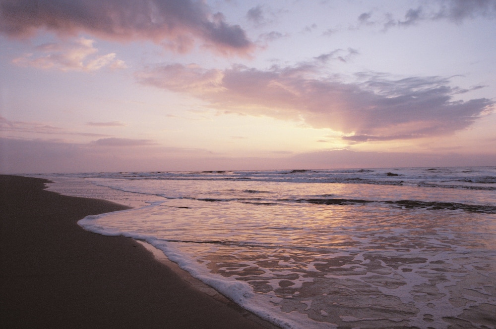 Holiday Inn Express Hilton Head Island by IHG - photo 81