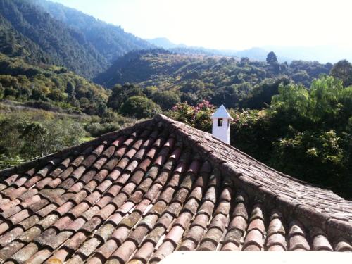 Finca La Hondura — La Orotava — photo 3