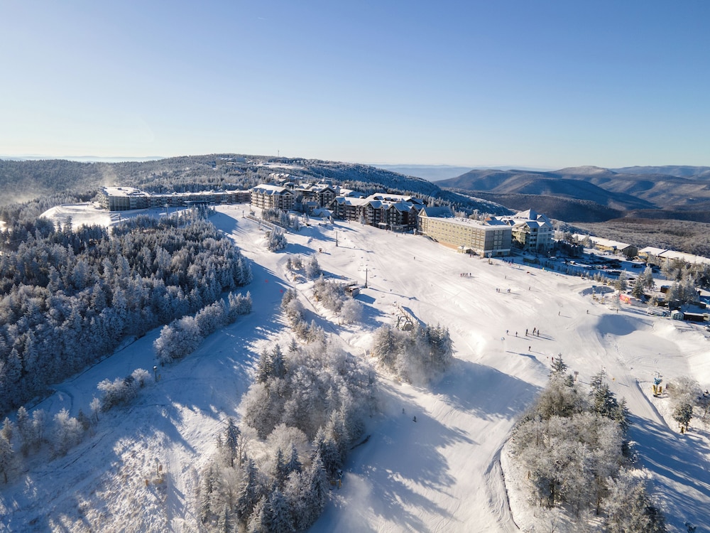 The Inn at Snowshoe - photo 18