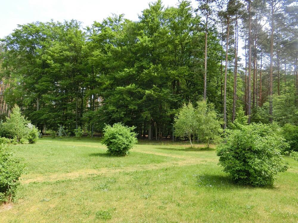 Childrens Play Area - Outdoor