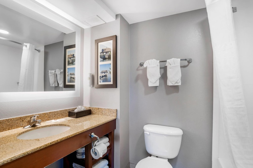 Comfort Suites near Birkdale Village Huntersville - photo 19