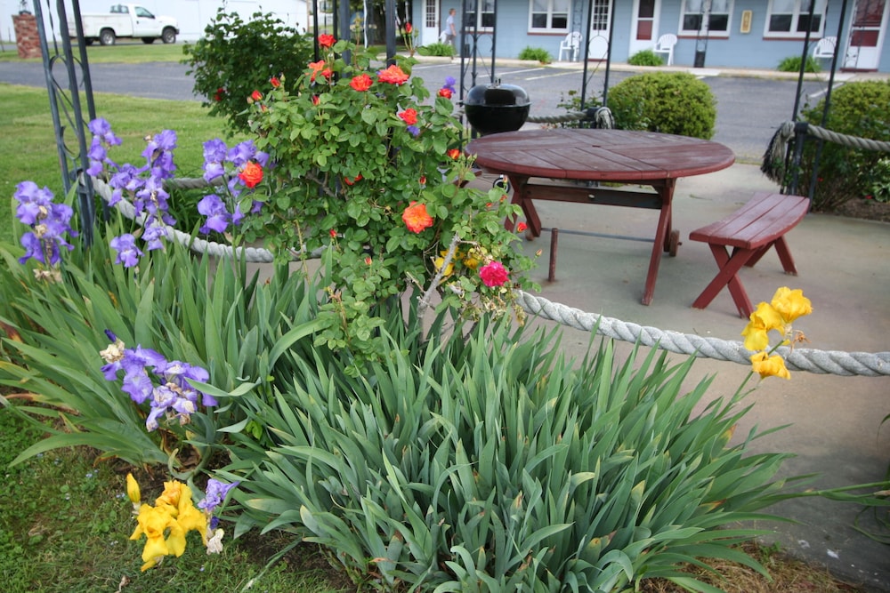 Mariners Motel - photo 9