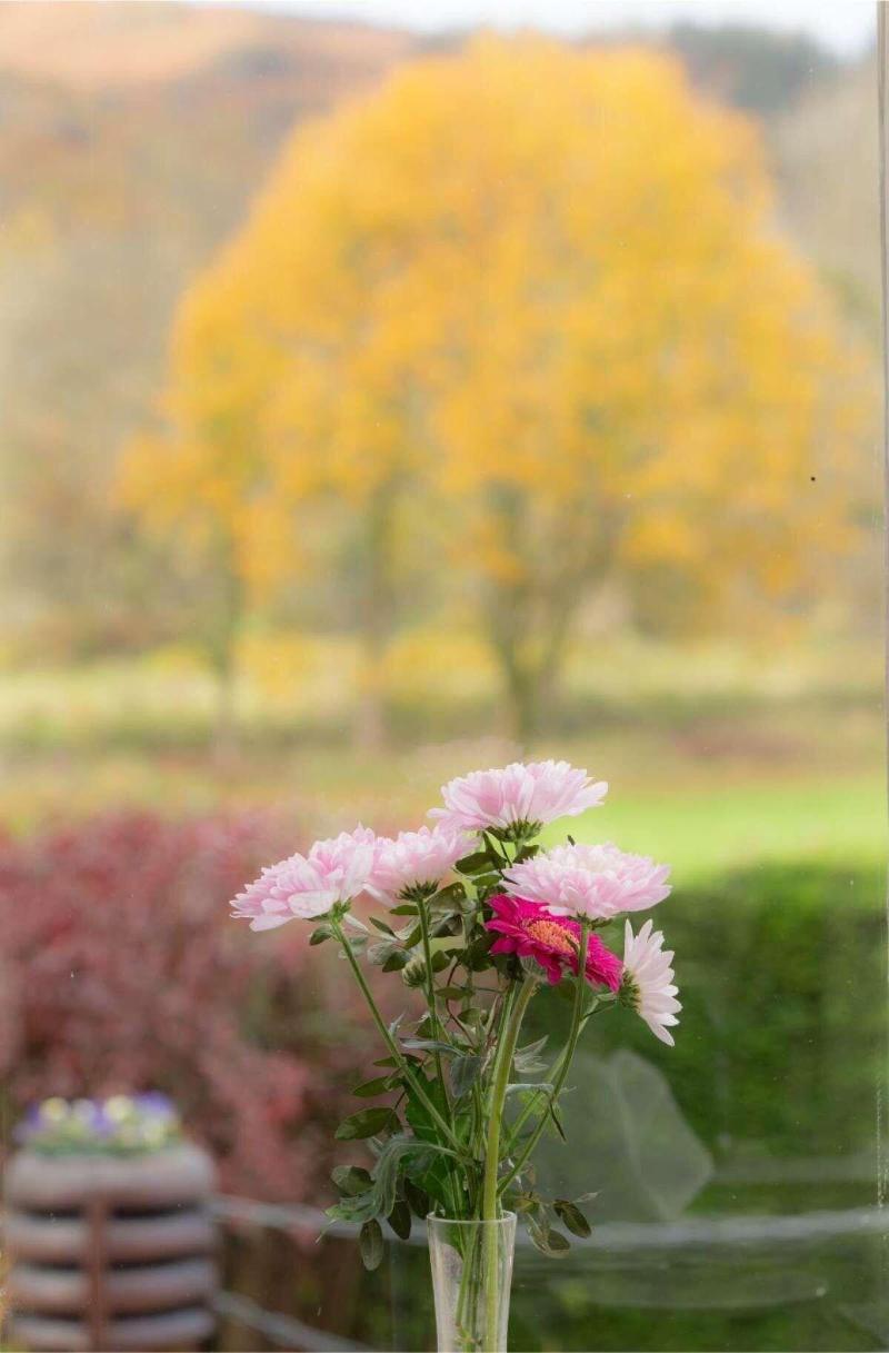 Brantholme Bed & Breakfast — 4-Star Luxury Hotel in Ambleside, United Kingdom
