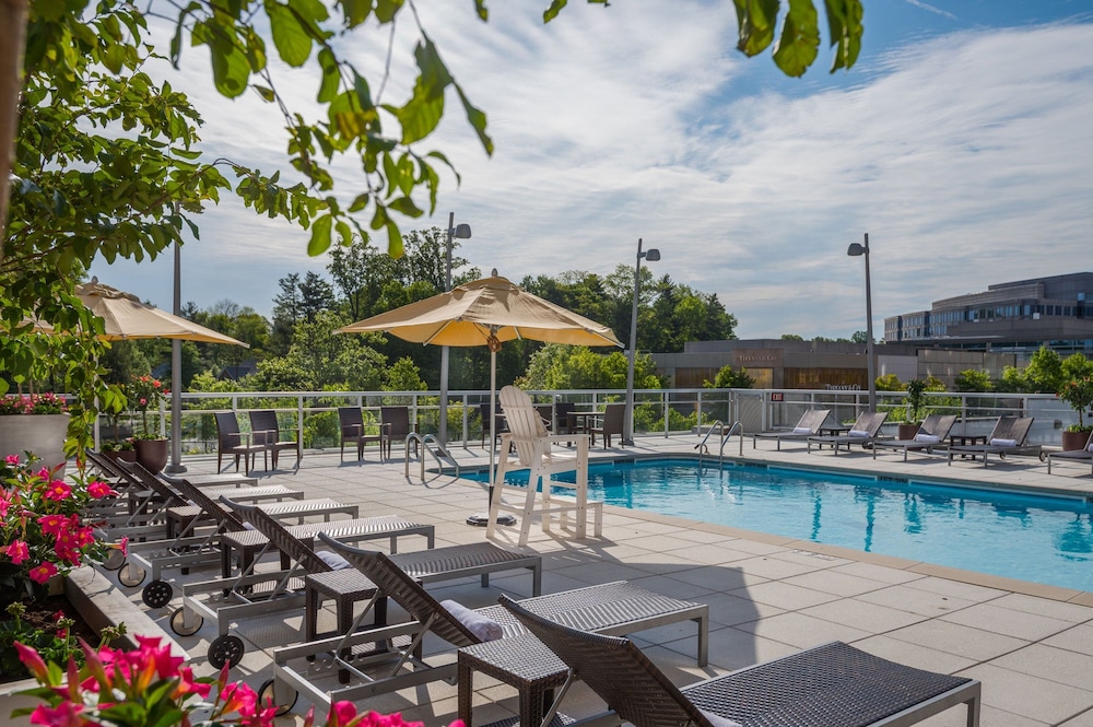 Courtyard by Marriott Bethesda Chevy Chase - photo 14