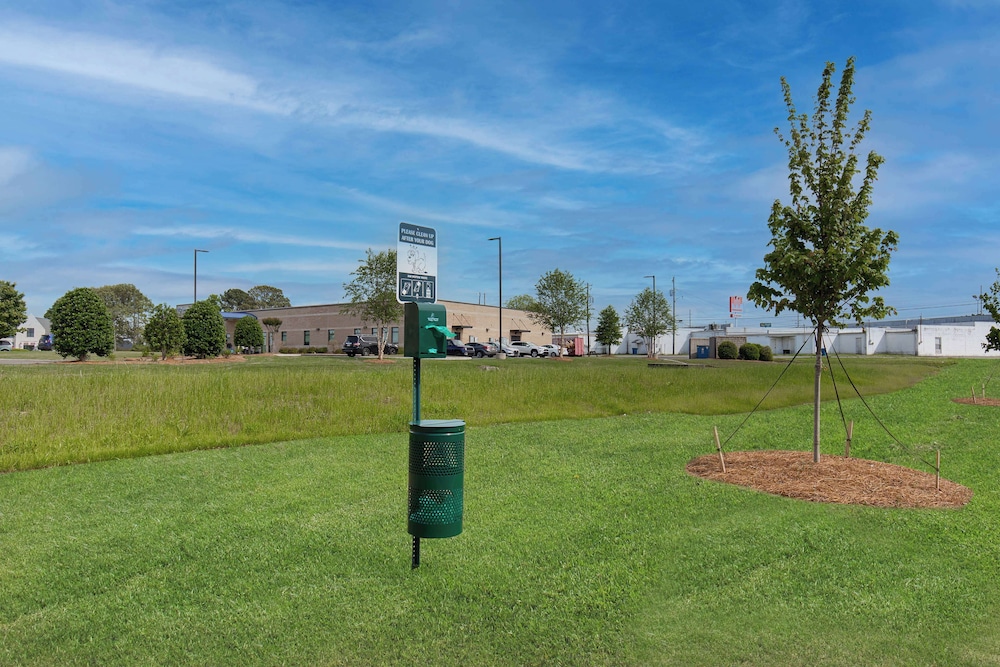Hampton Inn by Hilton Albertville - photo 28
