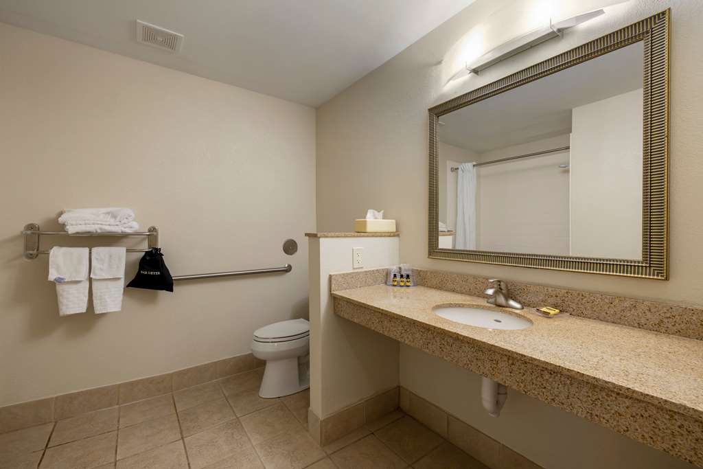 Best Western Plus Omaha Airport Inn - photo 29