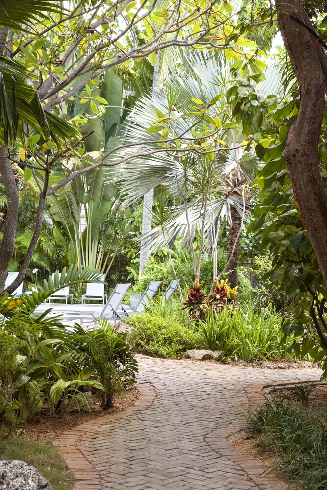 Paradise Inn Key West Adults Only - photo 15