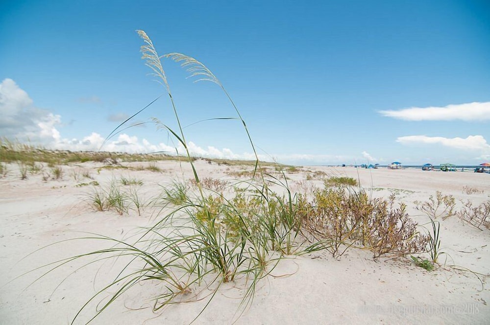 Ocean Sands Beach Boutique Inn 1 Acre Private Beach - photo 251
