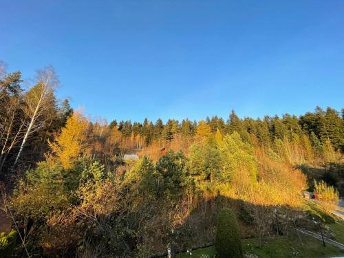 Сідус — Bystrytsya — photo 4