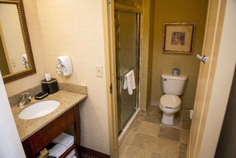 Hampton Inn Plover Stevens Point - photo 37