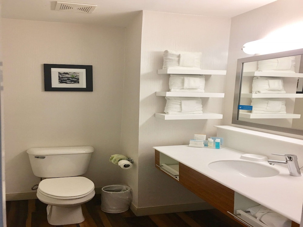Hampton Inn Sevierville - photo 22