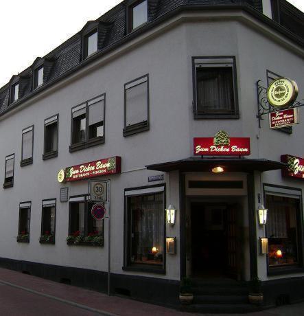 Hotel Zum Dicken Baum — Mayen