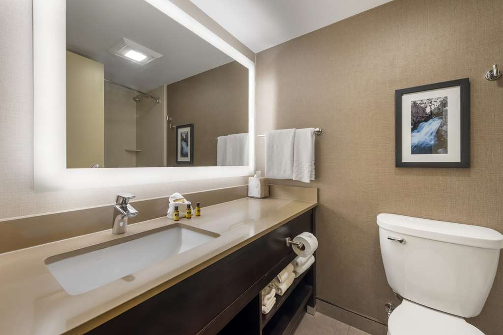 Best Western Plus Ramkota Hotel - photo 32