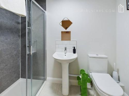 Cozy Unit in Belfast in Belfast, United Kingdom