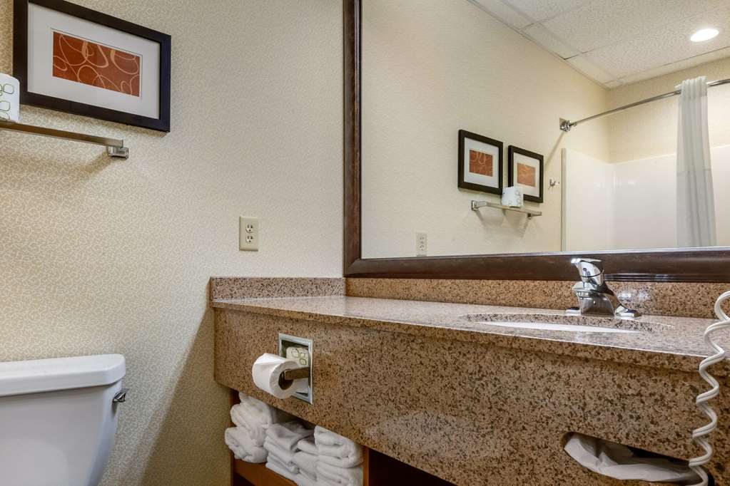 Comfort Suites Hotel and Conference Center - photo 12