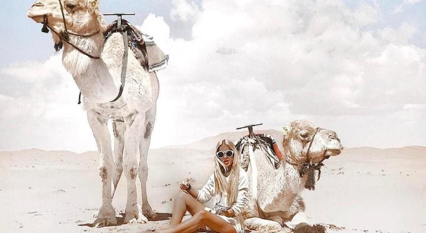 Ali & Sara’s Desert Palace in Unknown City, Morocco