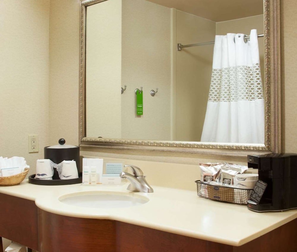 Hampton Inn & Suites Brownsville - photo 3