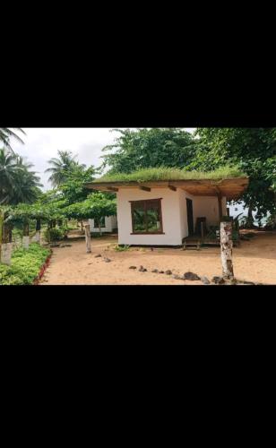 Ecolodge praia in Sao Tome, Sao Tomé and Príncipe