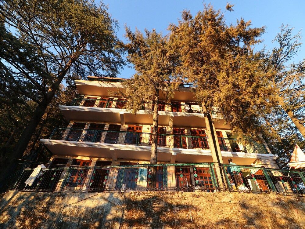 Oyo 27699 Cedar Tree - last minute hotel in Shimla