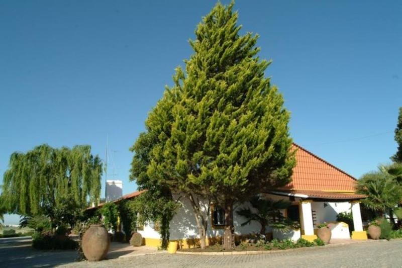 Herdade Dos Coelheiros — Arraiolos — photo 3