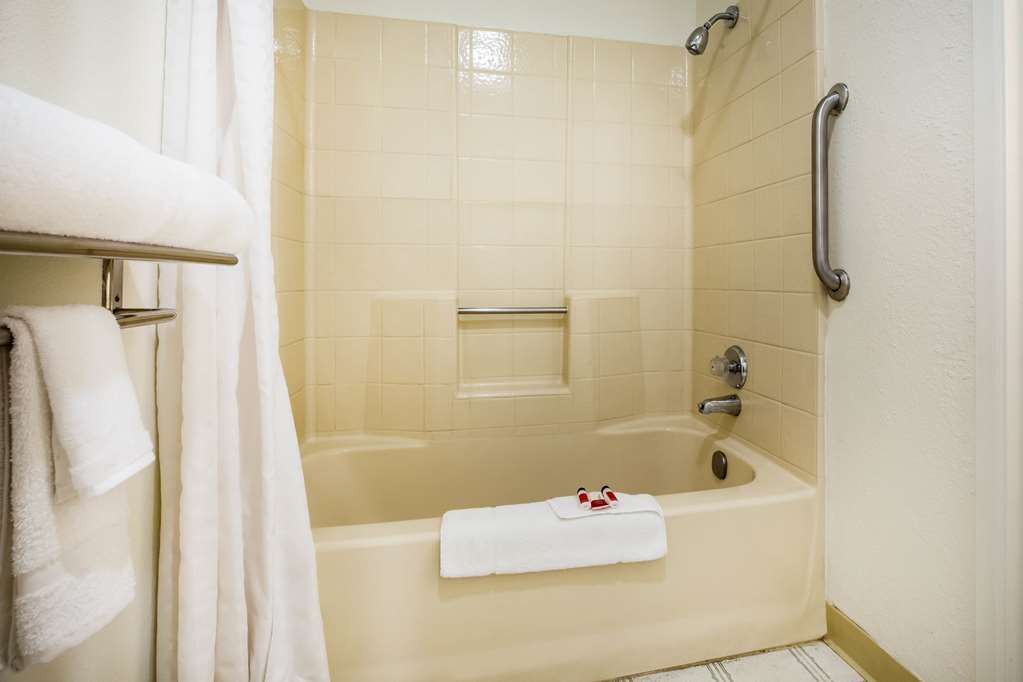 Super 8 by Wyndham Lindsay Olive Tree - photo 21