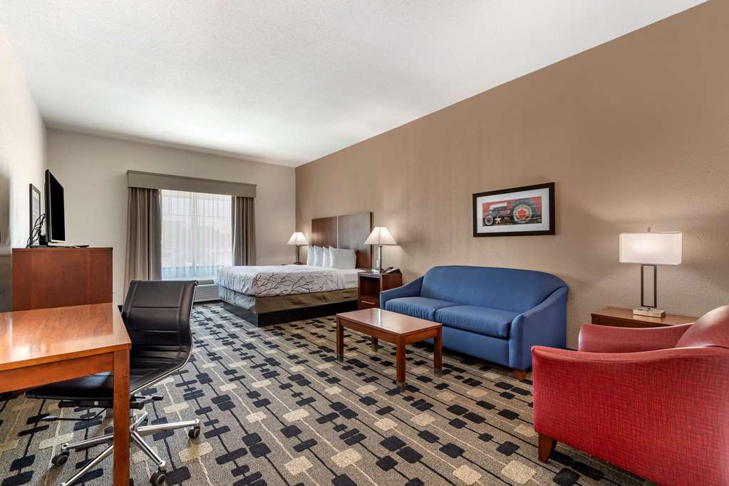 Best Western Plus Big Lake Inn - photo 20