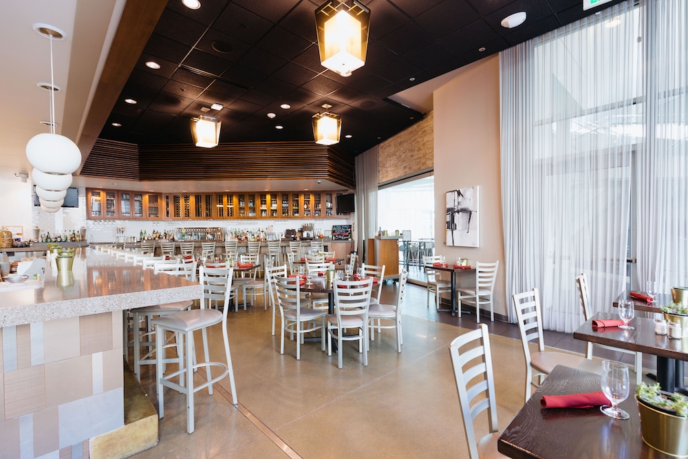 SpringHill Suites by Marriott Denver Downtown - photo 24