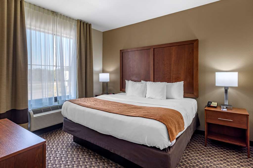 Comfort Inn & Suites Atoka Millington - photo 29