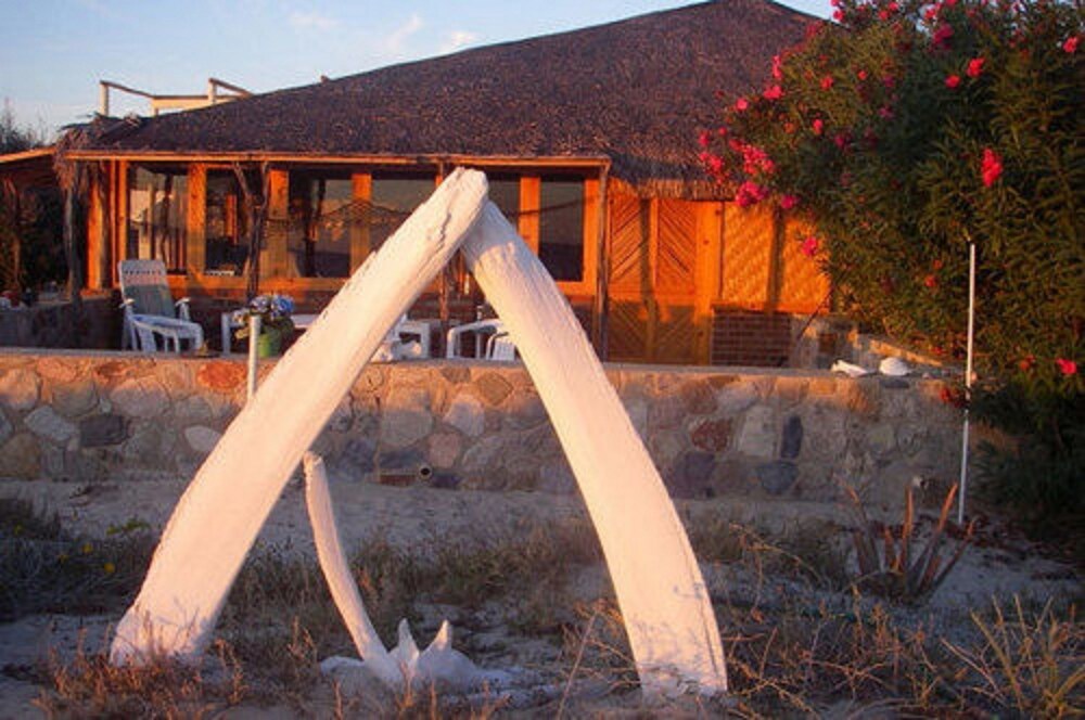 Cabo Pulmo Eco Palapa a Gated Resort on Punta Los Mangles in Unknown City, Mexico