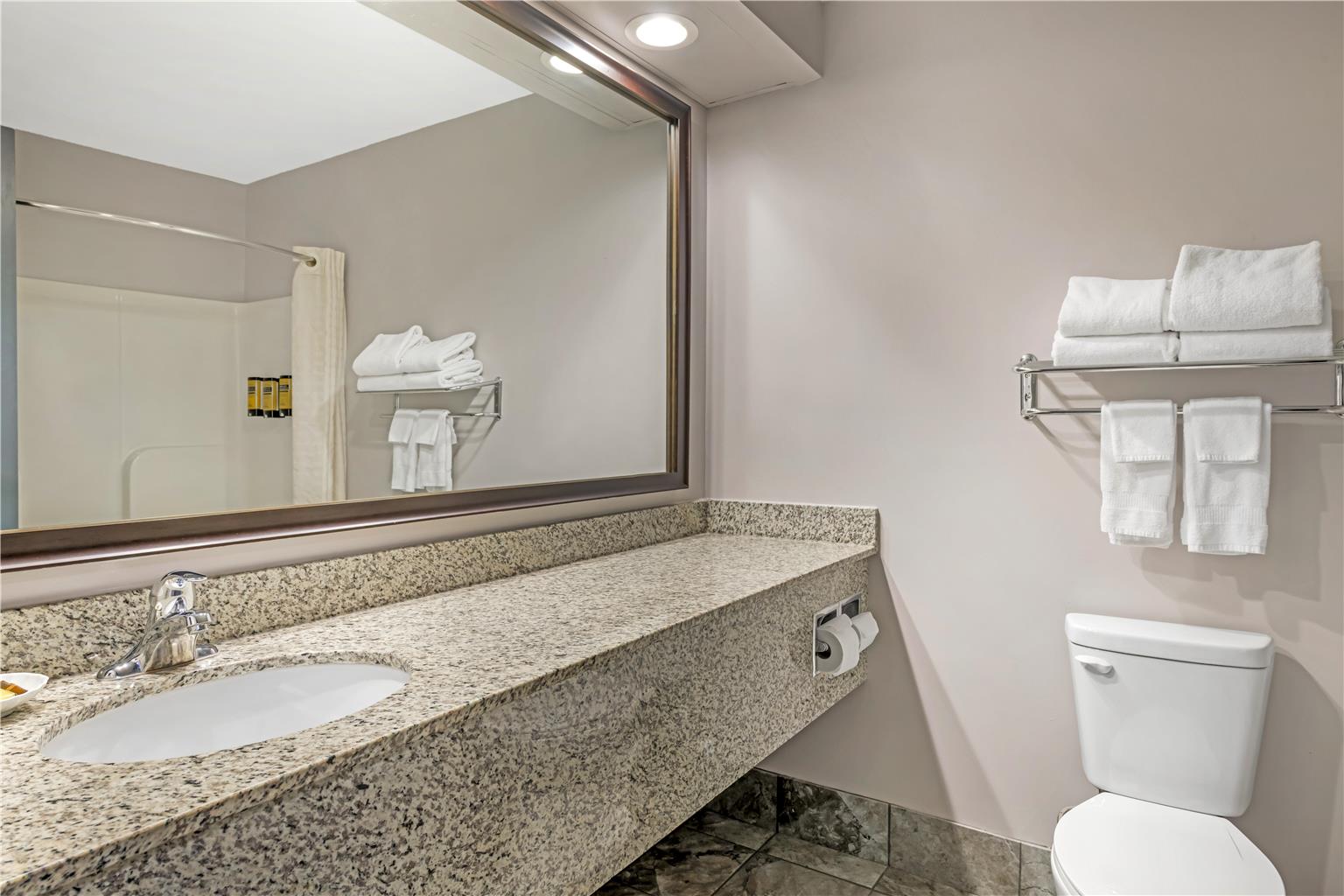 Best Western Plus Eau Claire Conference Center - photo 13