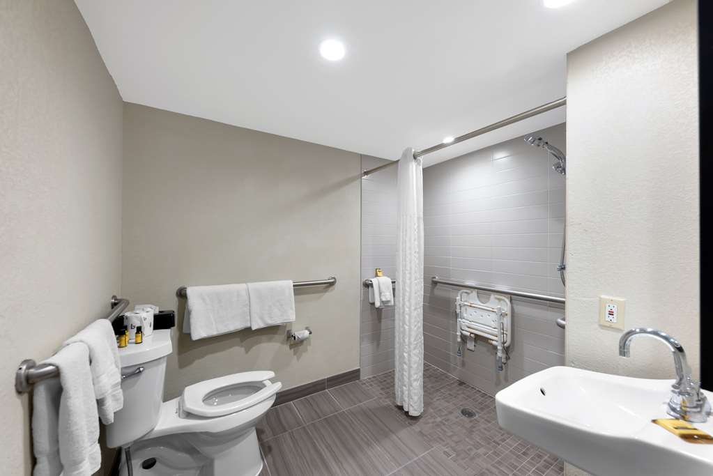 Best Western Plus Austin Central - photo 29