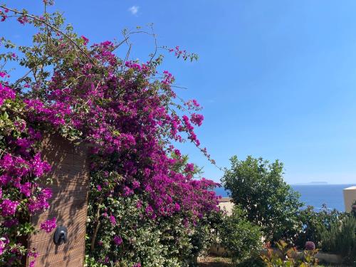 Green Coast 136 in Unknown City, Albania