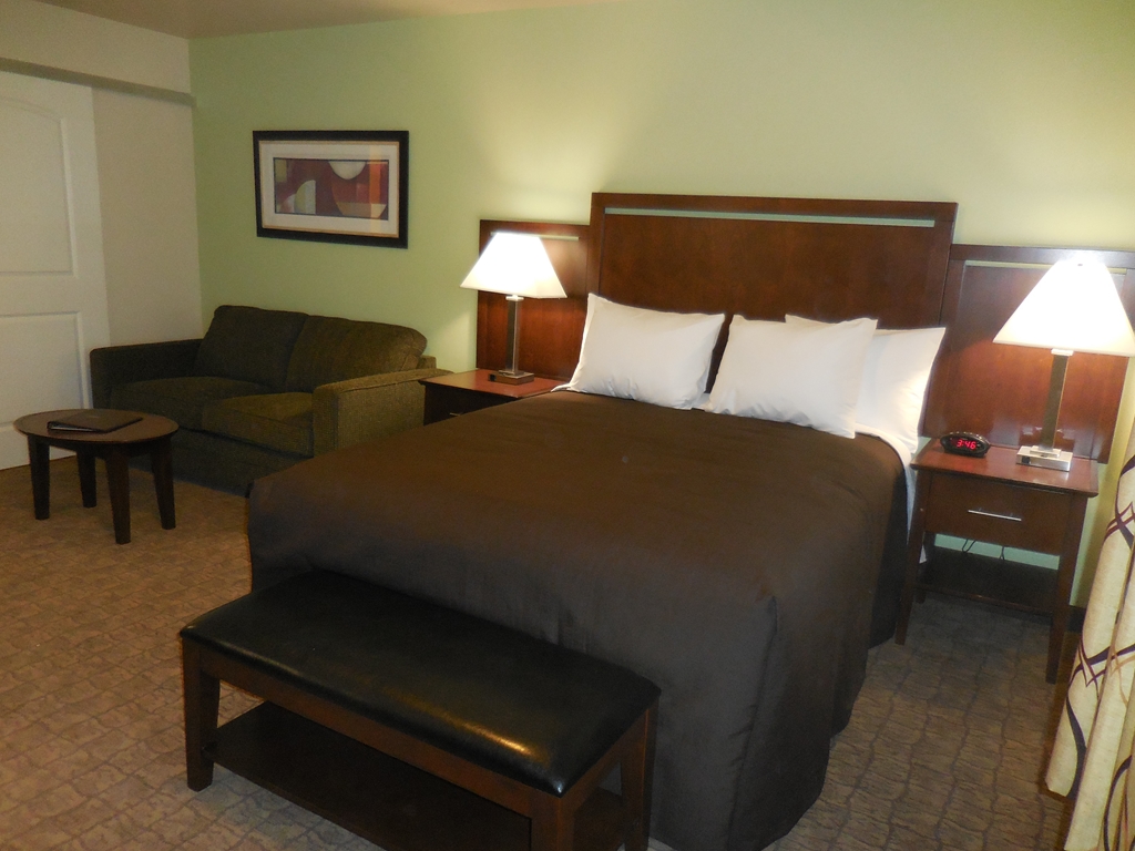 Ledgestone Suites Hotel Elko - photo 9