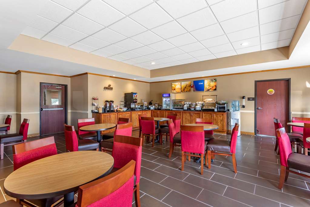 Comfort Inn & Suites Carbondale University Area - photo 28