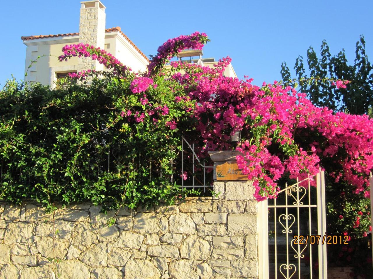 Aloe & Lotus Villas — 4-Star Luxury Hotel in Rethymno, Greece