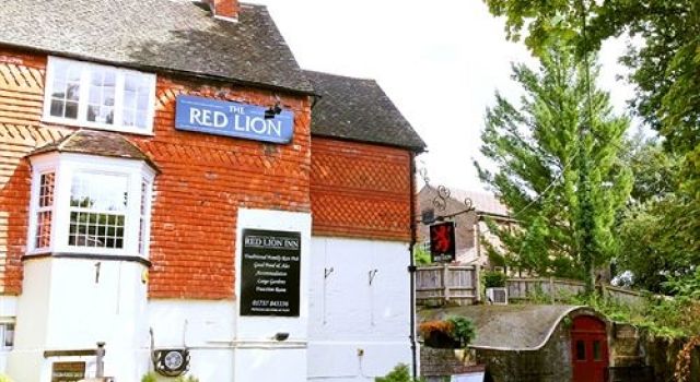 The Red Lion — hotel in Reigate